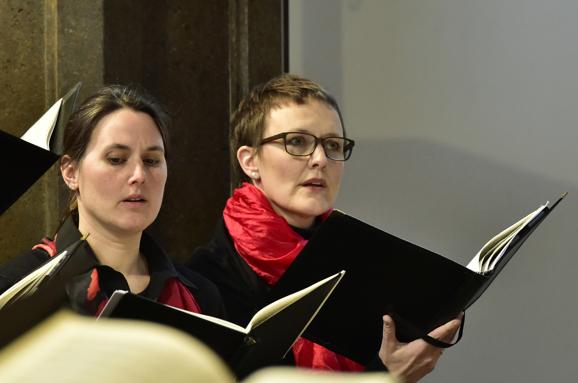 11-20150222-153635.jpg